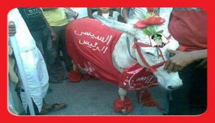 صورة نادر للسيسى اثناء احدى التظاهرات