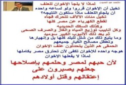 لماذا لم يلجأ الإخوان للعنف