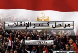 بالفيديو .. مراحل كسر الانقلاب ..  د. رفيق حبيب