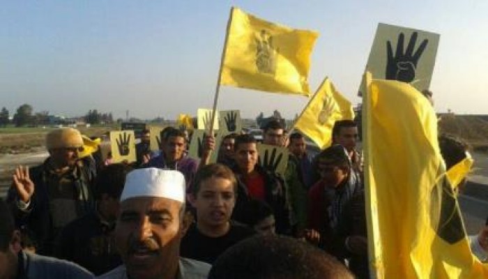 كفر الشيخ: مسيرة حاشدة على الطريق الدولي بمركز الرياض (صور)