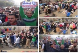 " جمعة الطلبة طليعة الثورة " انتفاضة ثورية  في مدينة زفتي بالغربية