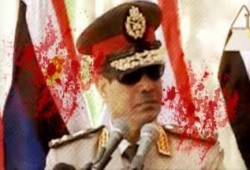 نور الدين محمود يكتب : التفويض