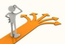 المجتمع والقرود