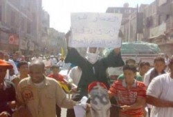 بعد موت "الحمار" حبس صاحبه "سنة" بتهمة التظاهر