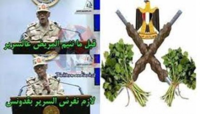 فضيحة الكفتة في الصحافة الغربية