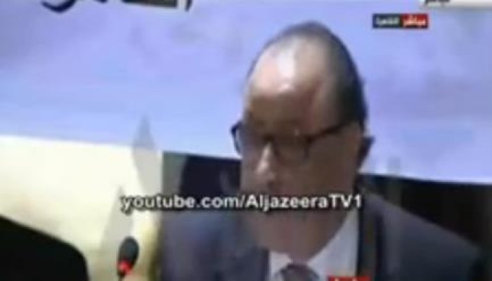 بالفيديو: صحفية تنسف تقرير حقوق الإنسان وتكشف كذبه وتدليسه وتحرج ناصر أمين على الهواء