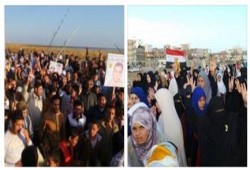 الآلاف من ابناء محافظة كفر الشيخ اليوم الجمعة  فى 7تظاهرات حاشدة