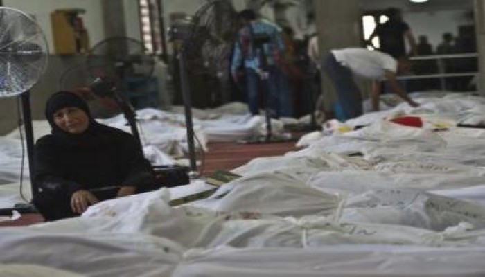 27 دولة عضو بمجلس حقوق الإنسان تدين قمع المظاهرات في مصر