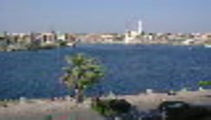 اعتقال 5 من مؤيدي الشرعية ومسئول حملة "صباحي" في دمياط