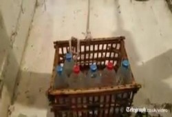بالفيديو .. التليجراف تكشف مأساة السجناء المصريين في "الزنازين الضيقة"