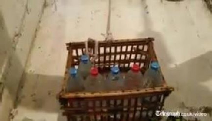 بالفيديو .. التليجراف تكشف مأساة السجناء المصريين في "الزنازين الضيقة"