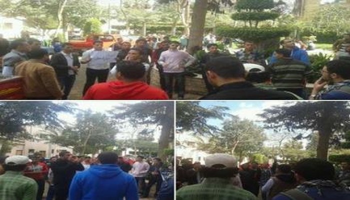 تقرير عن فاعليات القليوبية الرافضة للانقلاب أمس الإثنين