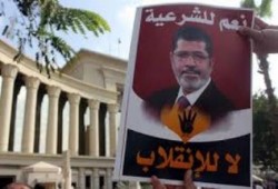 حصاد يوم ثوري بمحافظة كفر الشيخ رفضا للانقلاب