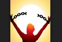 بالأسماء.. براءة 6 من مؤيدي الشرعية بالإسكندرية