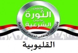 بيان التحالف  (بشبرا الخيمة و ‏القليوبية‬ ) بشأن الإعتداء على كمين مسطرد