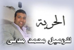 ميلشيات الانقلاب تعتقل الزميل الاعلامي محمد مدنى وأخيه المصاب