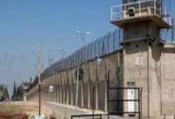 وفاة سجين بسجن دمنهور العمومي بالأبعادية .. وسط إهمال لصحة المساجين والمعتقلين بالسجن