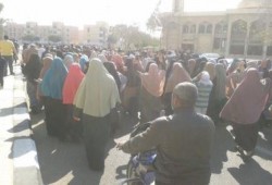 المنوفية تتظاهر بـ6 فعاليات صباحية فى جمعة "أم الشهيد"