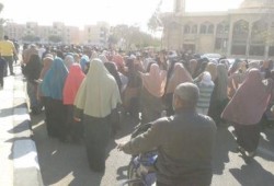 المنوفية تتظاهر بـ6 فعاليات صباحية فى جمعة "أم الشهيد"