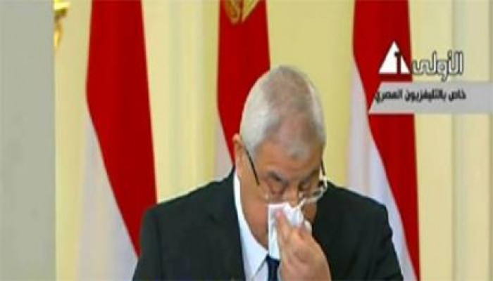 طرطور السيسي يحصن قرارات "العليا للرئاسة"