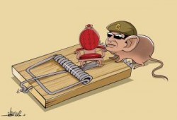 الفار دخل المصيدة ..