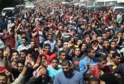 مليونية معا للخلاص ملف مصور من بعض فعاليات محافظات مصر