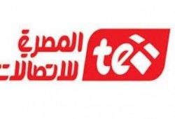 العاملون بالمصرية للإتصالات يتضامنون مع إضراب "البريد"