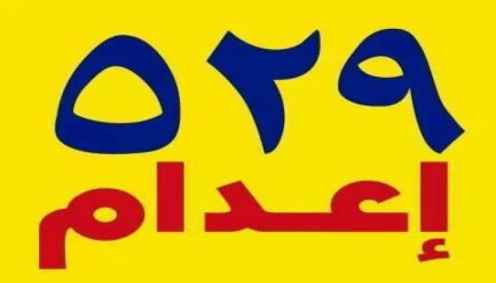 لجنة "خبراء الأمم المتحدة لحقوق الإنسان" تطالب بوضع حد لأحكام الإعدام