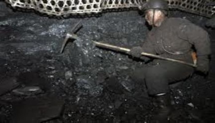 حكومة محلب الانقلابية تقرر استخدام الفحم وتعود بمصر أكثر من 100 عام للوارء