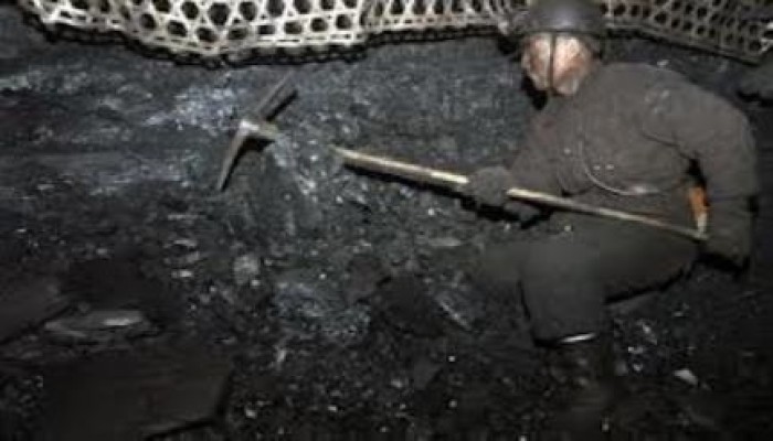 حكومة محلب الانقلابية تقرر استخدام الفحم وتعود بمصر أكثر من 100 عام للوارء
