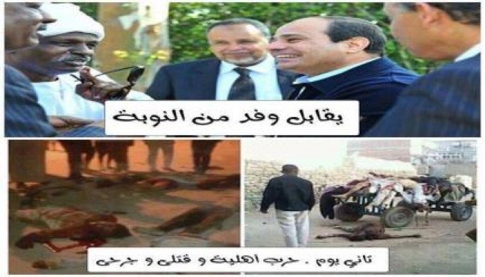 صورة وتعليق  " بومة من يومه "