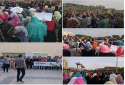 تقرير شامل عن حالة محافظة الغربية من الجمعة  إلي الخميس