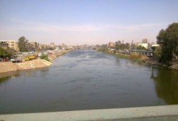 تسمم أعداد كبيرة من الأسماك بفرع ترعة الإسماعيلية بمنطقة الملاك