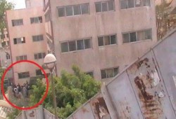 ذهبوا ليحصلوا علي شهادة محو أمية فوجدوها توكيلاً للخائن!!