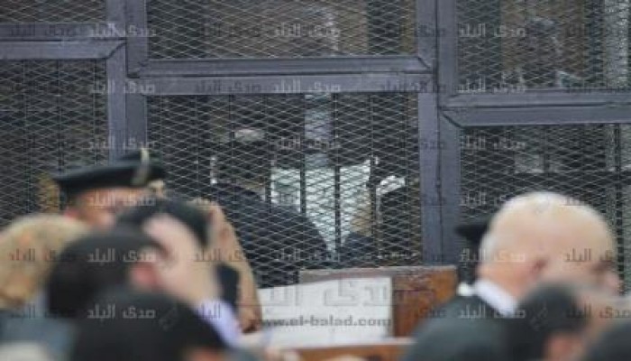 الأسد أبو اسماعيل يدير ظهره للقاضي .. ويطالع الجرائد من داخل قفص الظلم (فيديو)