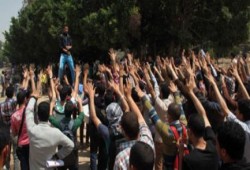 اليوم انتفاضة طلاب الأزهر تحت شعار "حكاية أزهر"،