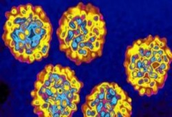 علاج  لفيرس سي ..يشفي 90% من المرضي في 12 اسبوعا