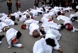 بالفيديو.. شاهد كيف يتضامن أحرار تركيا مع ثوار مصر (529 إعدام)