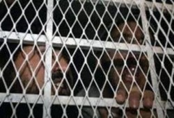قضاة جهنم .. حبس 120 ثائر 3 سنوات بتهمة "التظاهر"