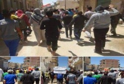 "مصر ليست تكية" مسيرة حاشدة  لدعم الشرعية بشمال سيناء
