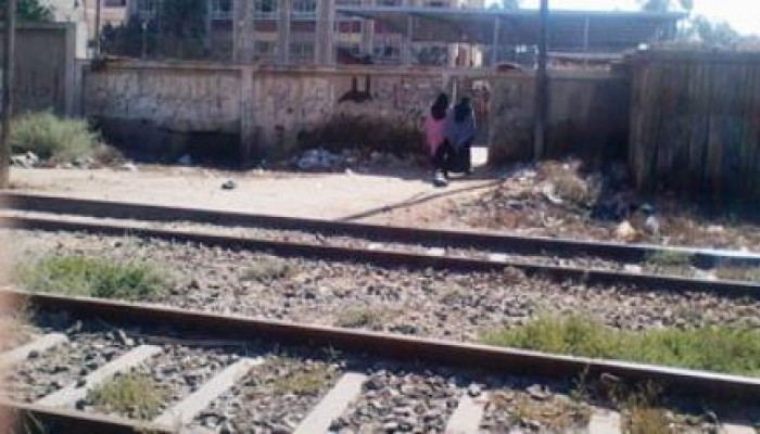 في عهد الغراب نخلة تتسبب في توقف القطارات بالصعيد