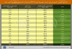 مسح: الناتج المحلى لـ 16 دولة عربية عام 2013 مثل 16% من الناتج المحلي الأمريكي