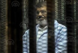هيئة الدفاع عن معتقلي قضية التخابر الملفقة على ضم لجنة فحص الفيديوهات لـ "أسامة الشيخ"