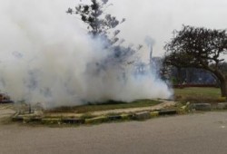 طلاب جامعة الإسكندرية يسطرون ملحمة صمود فى مواجهة أمن الانقلاب