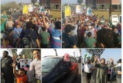 في بداية أسبوع فعاليات "حاميها حراميها"  20 فعالية ثورية بالغربية