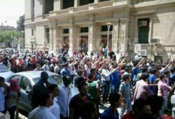 الجامعات المصرية  تنتفض ضد الانقلاب وأحكام الإعدام - تقرير فعاليات اليوم