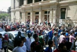 الجامعات المصرية  تنتفض ضد الانقلاب وأحكام الإعدام - تقرير فعاليات اليوم