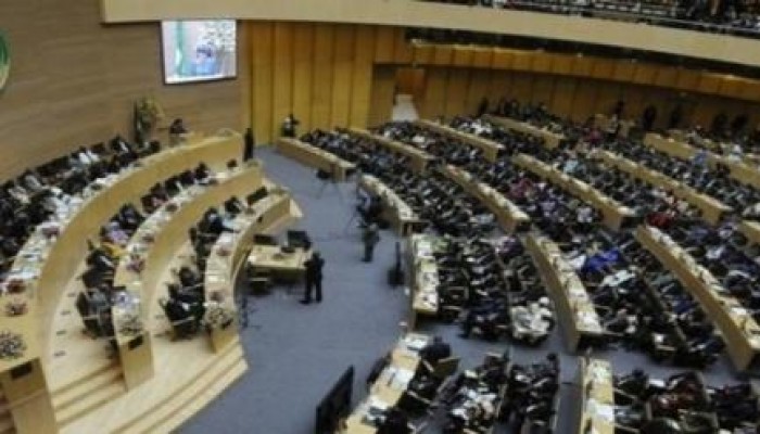 مسؤول بالاتحاد الأفريقي: تركيا أحد الشركاء الرئيسيين لأفريقيا