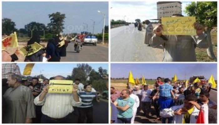 عدة فاعليات صباحية ب‏كفر الشيخ‬ في جمعة "زواج مصر من أمريكا باطل"