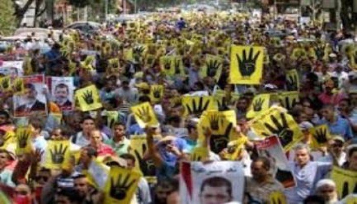 تقرير شامل عن فعاليات محافظة القليوبية